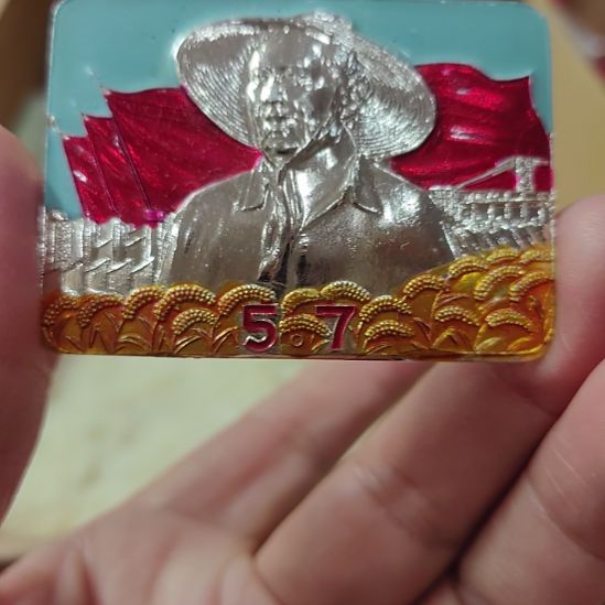 上***人其他普通金属纪念章