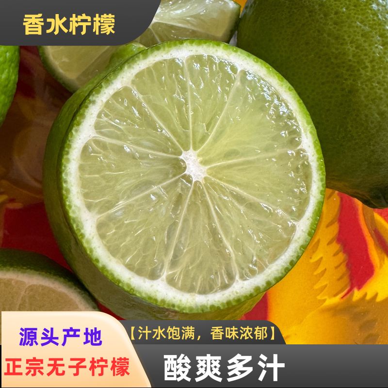 无籽青柠檬新鲜采摘皮薄爆汁适合酒吧奶茶店