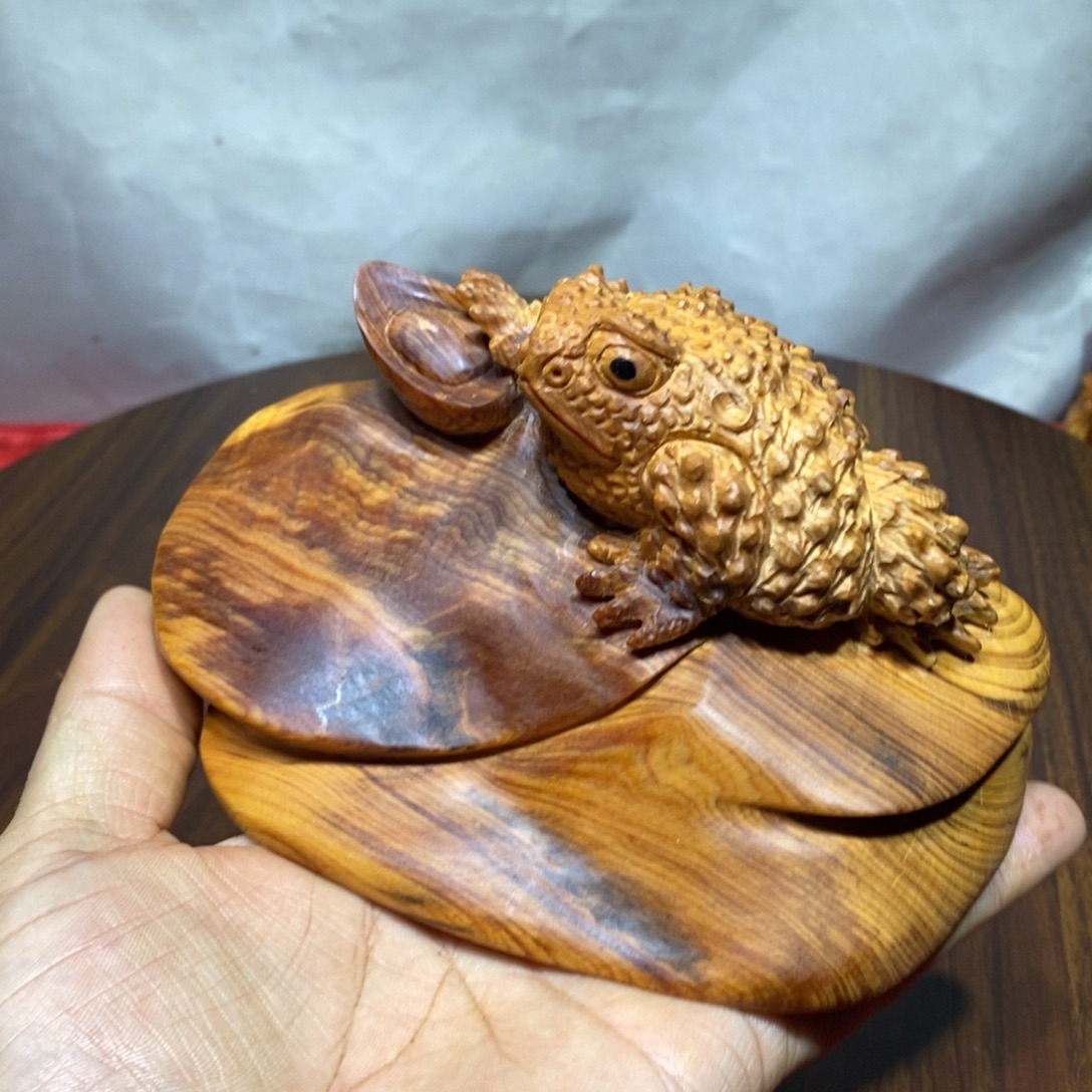 大****柏木（崖柏）崖柏呱呱