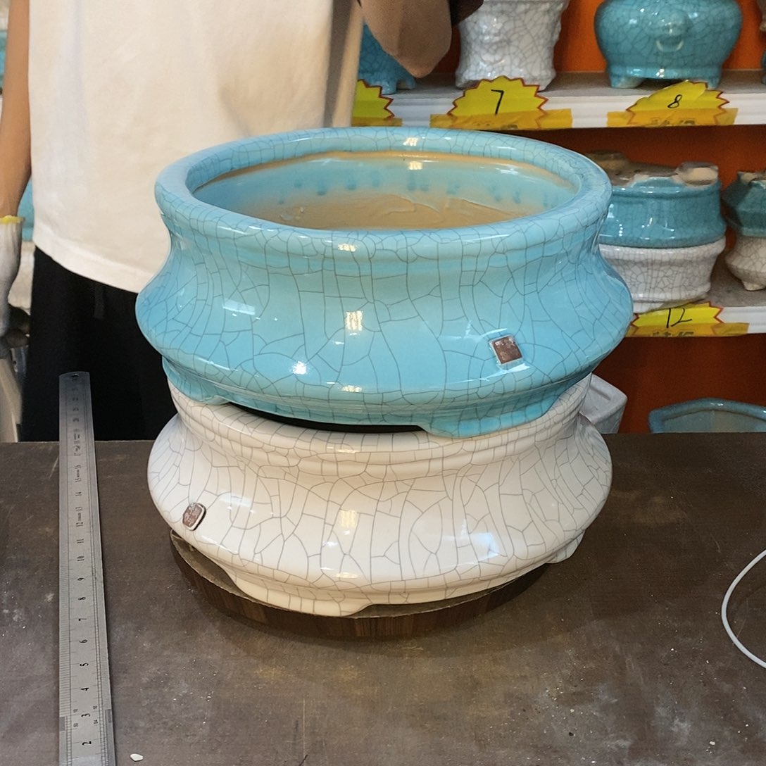 正*花盆花盆里的花都