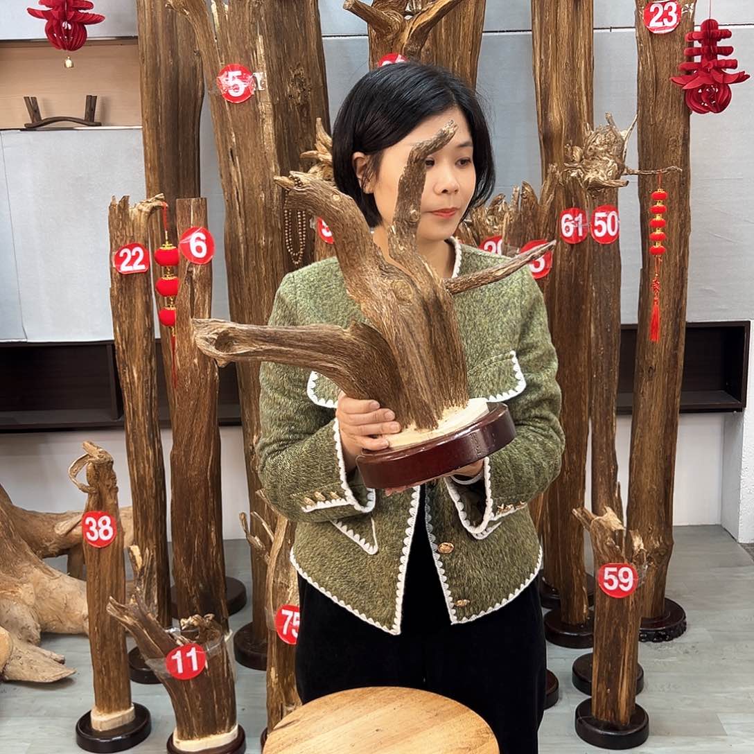 沉香摆件沉香摆件