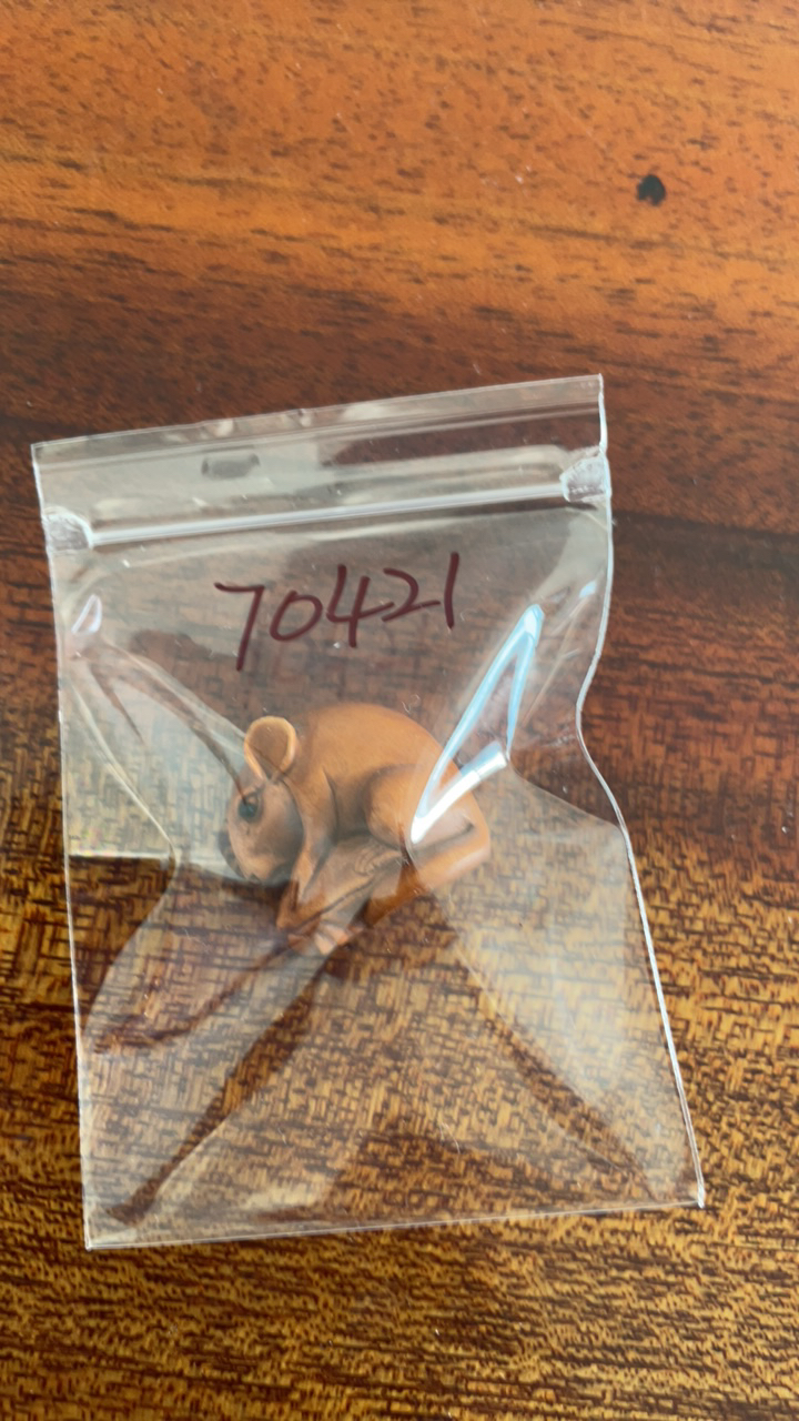 70421黄杨木配饰