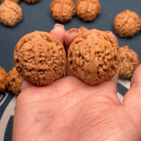 橄榄核手串/手链木**才莲花40