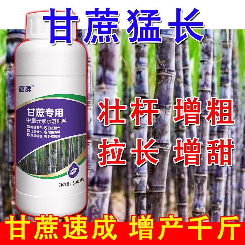 甘蔗专用叶面肥拉长拉直膨大素增粗增甜甘蔗拉直灵抗倒伏肥料
