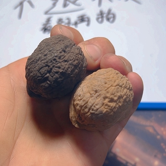 文玩核桃把件23号箭毒蛙