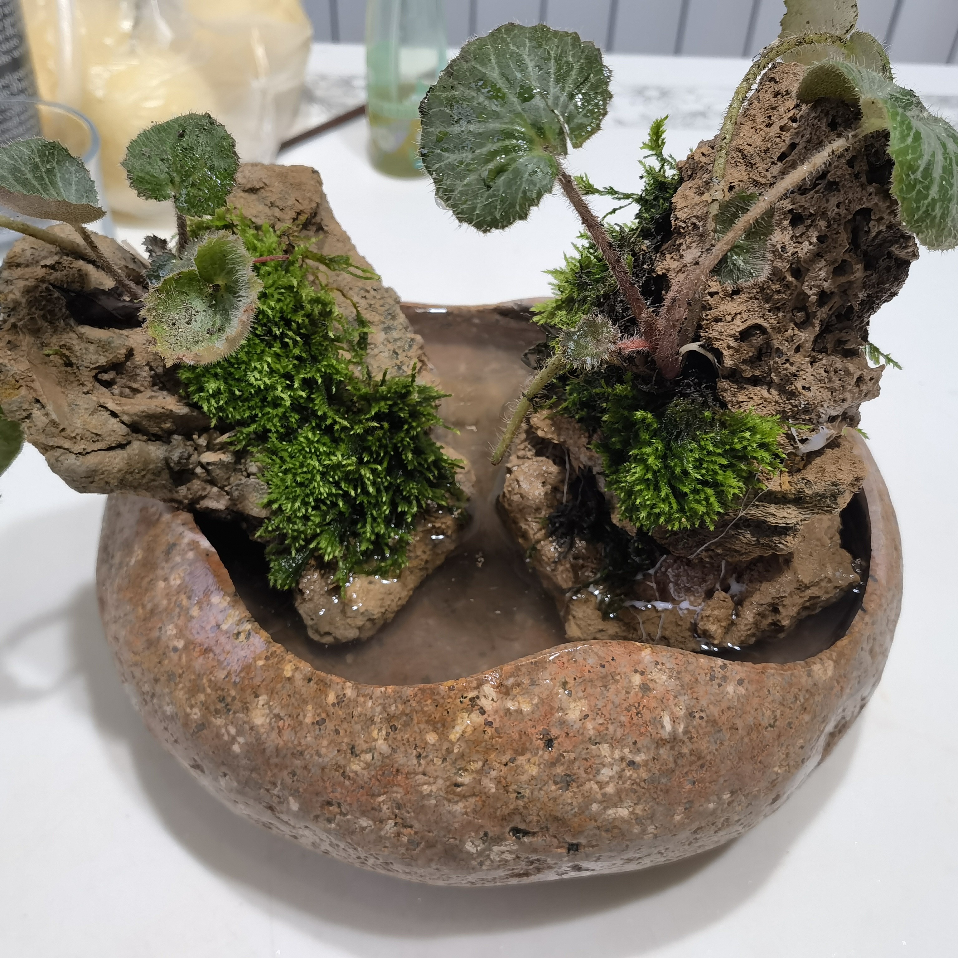 石头花盆，吸水石盆景，可定制。