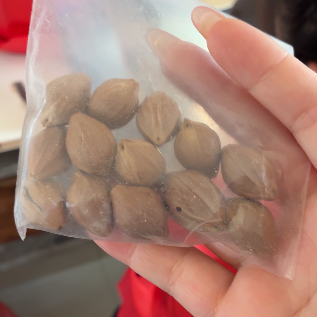 橄榄核手串/手链橄榄核核雕工艺