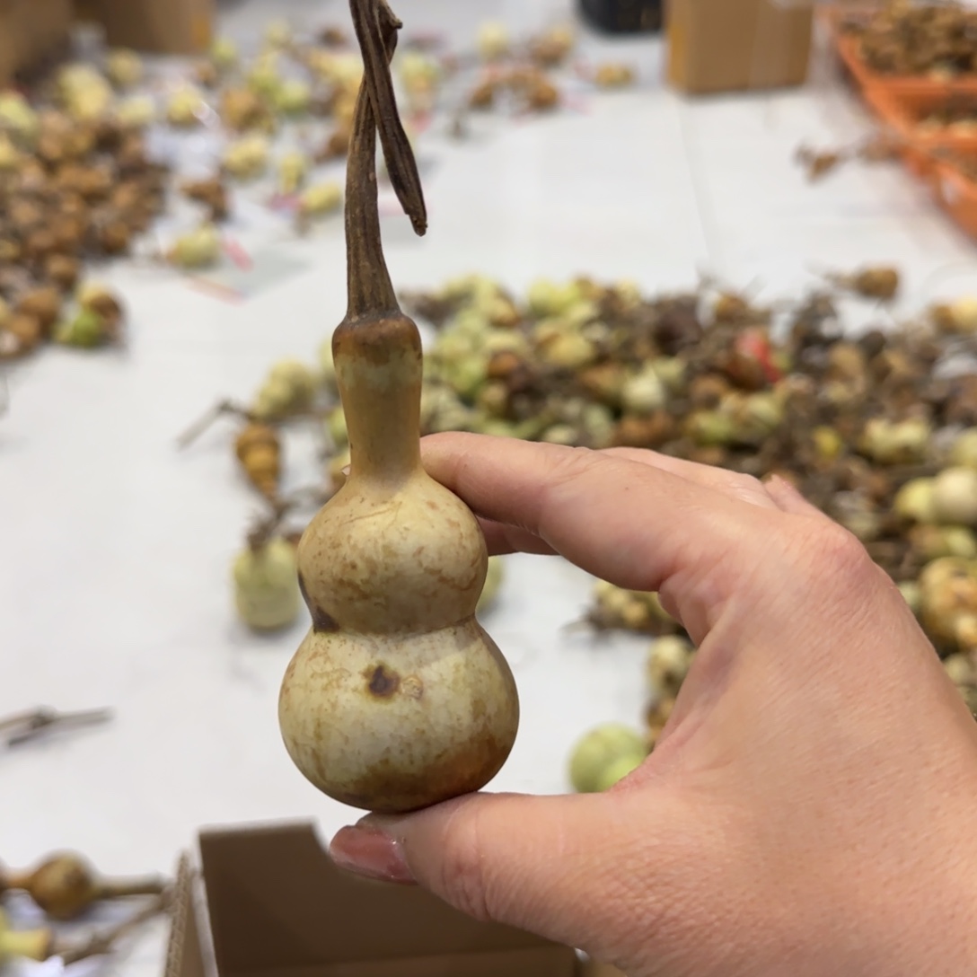 葫芦港汇广场金港国际价格高