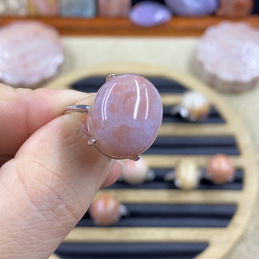 硅化珊瑚（珊瑚玉）A48未镶嵌