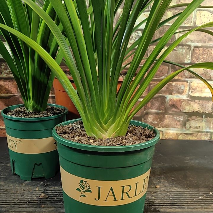 完全开放11111111