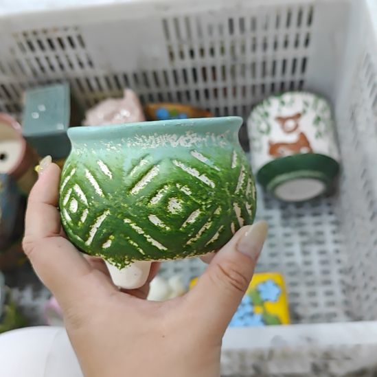 当场拍满15元包邮发货，金额不够发泡沫不发花盆，不凑单真亏钱请别