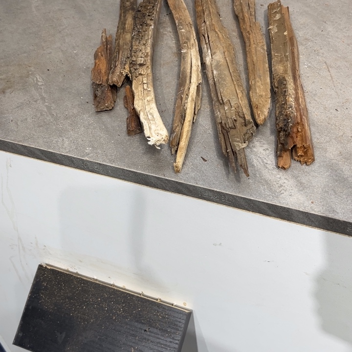 坏***团柏木崖柏等自然资源和生态资源丰富