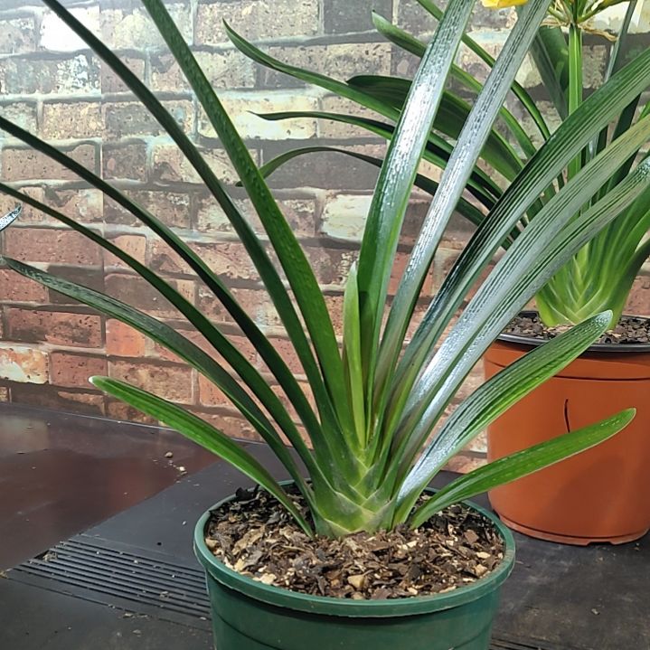 完全开放1111111111