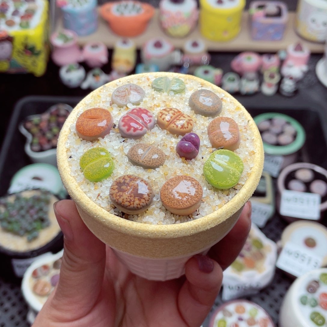 w9520 带盆土发货-零下地区拍保温箱