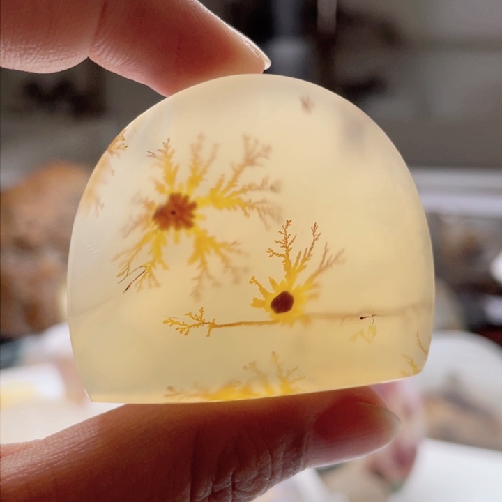 玛瑙/玉髓未镶嵌吊坠(不含链)