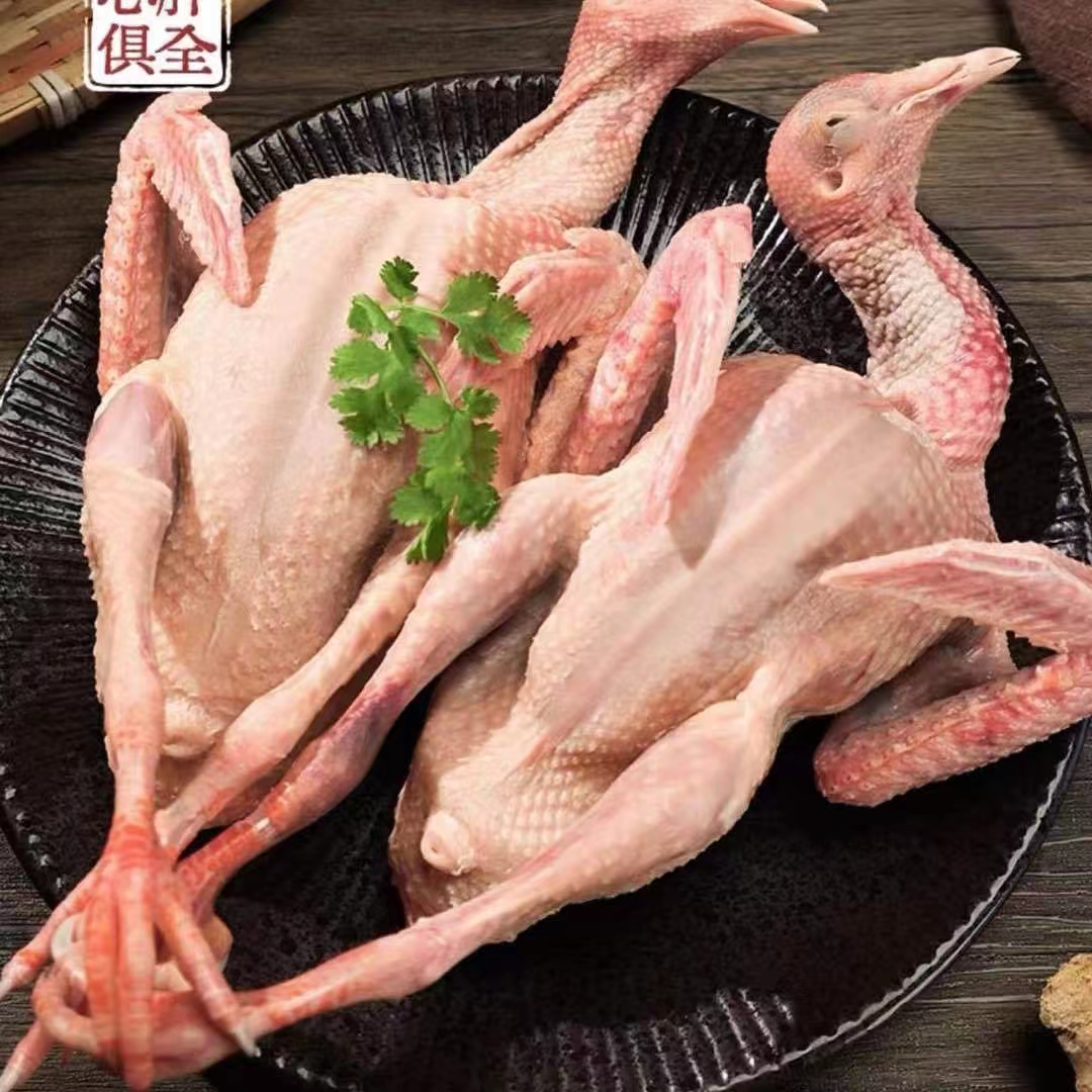 【山里娃】农家散养土鸽 乳鸽鸽子肉 煲汤鲜香 拍一发四 冷鲜发货 