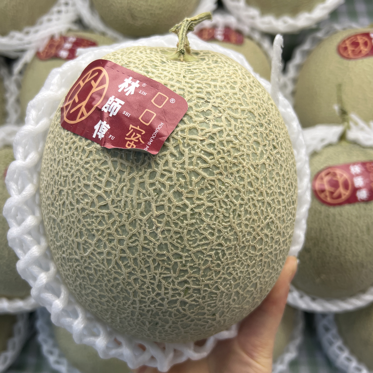 林师傅网纹瓜（个）