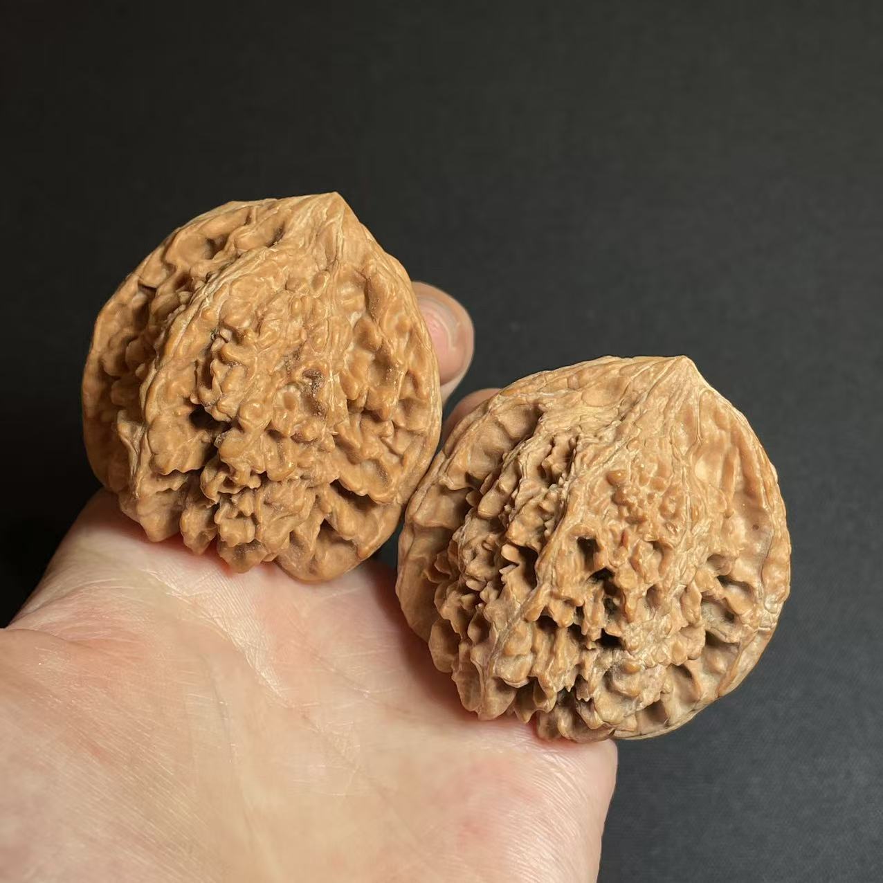 【辉子专属】L137核桃满天星40mm