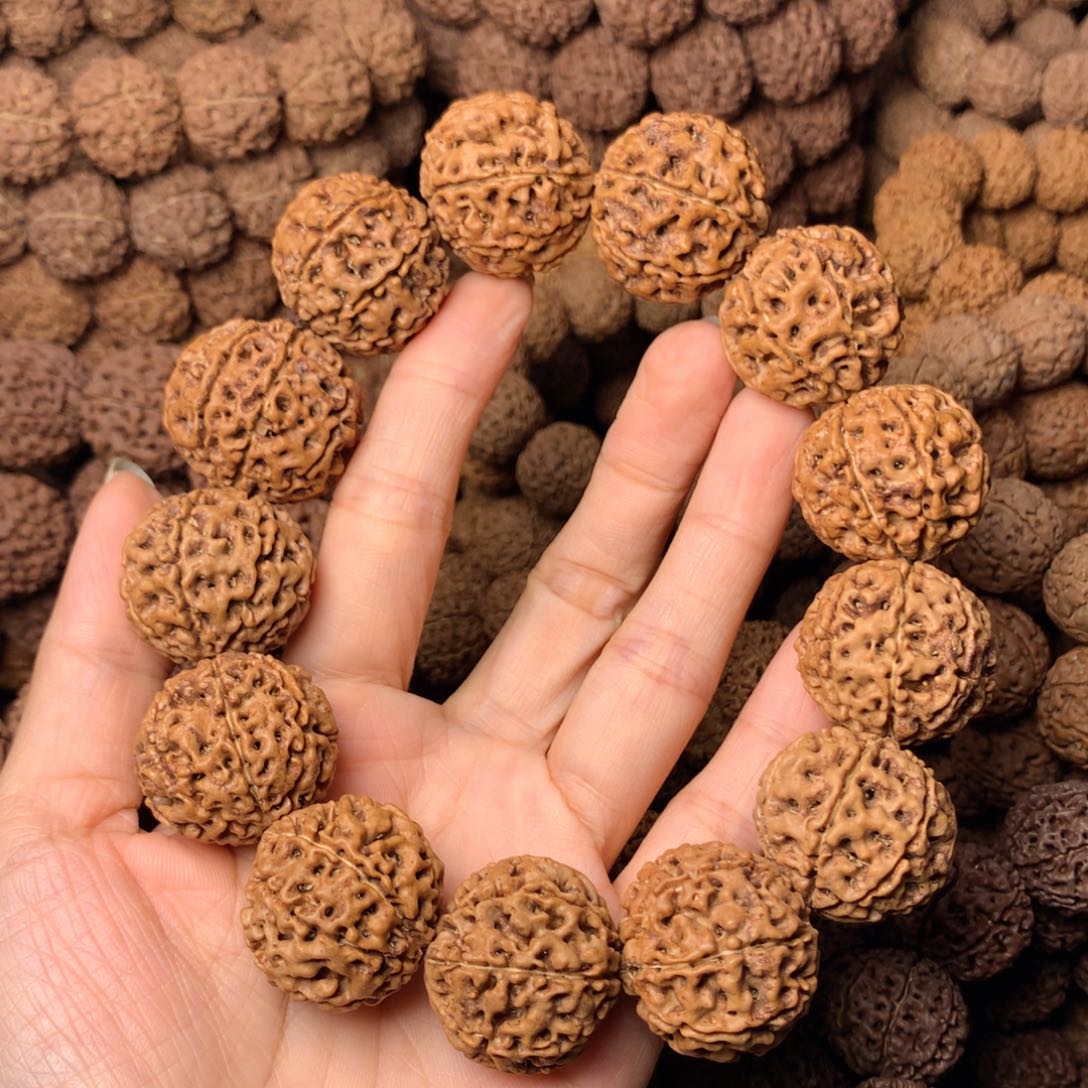 木8瓣爆肉卡26尺寸，9号