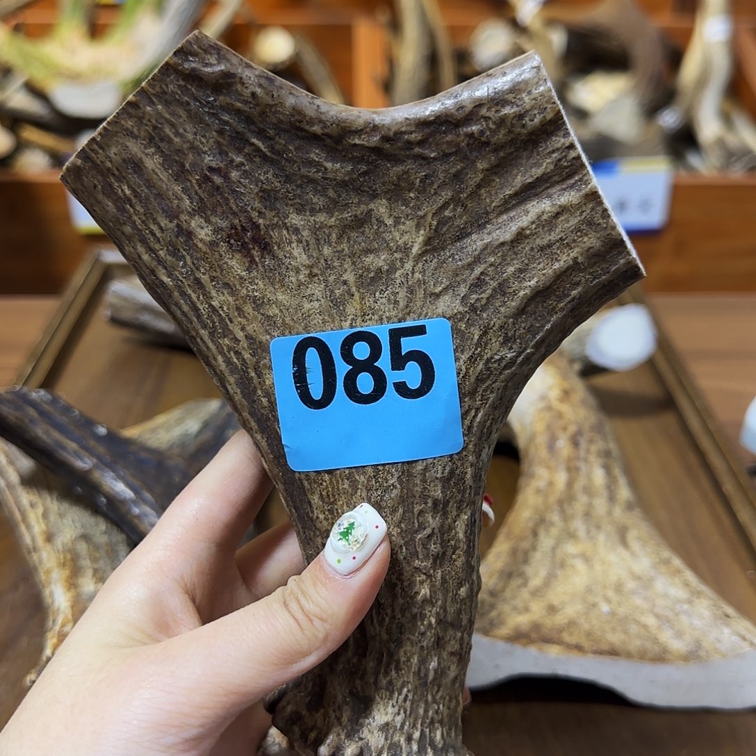 手串/手链鹿骨弹弓085 长16 弓12 柄3.6