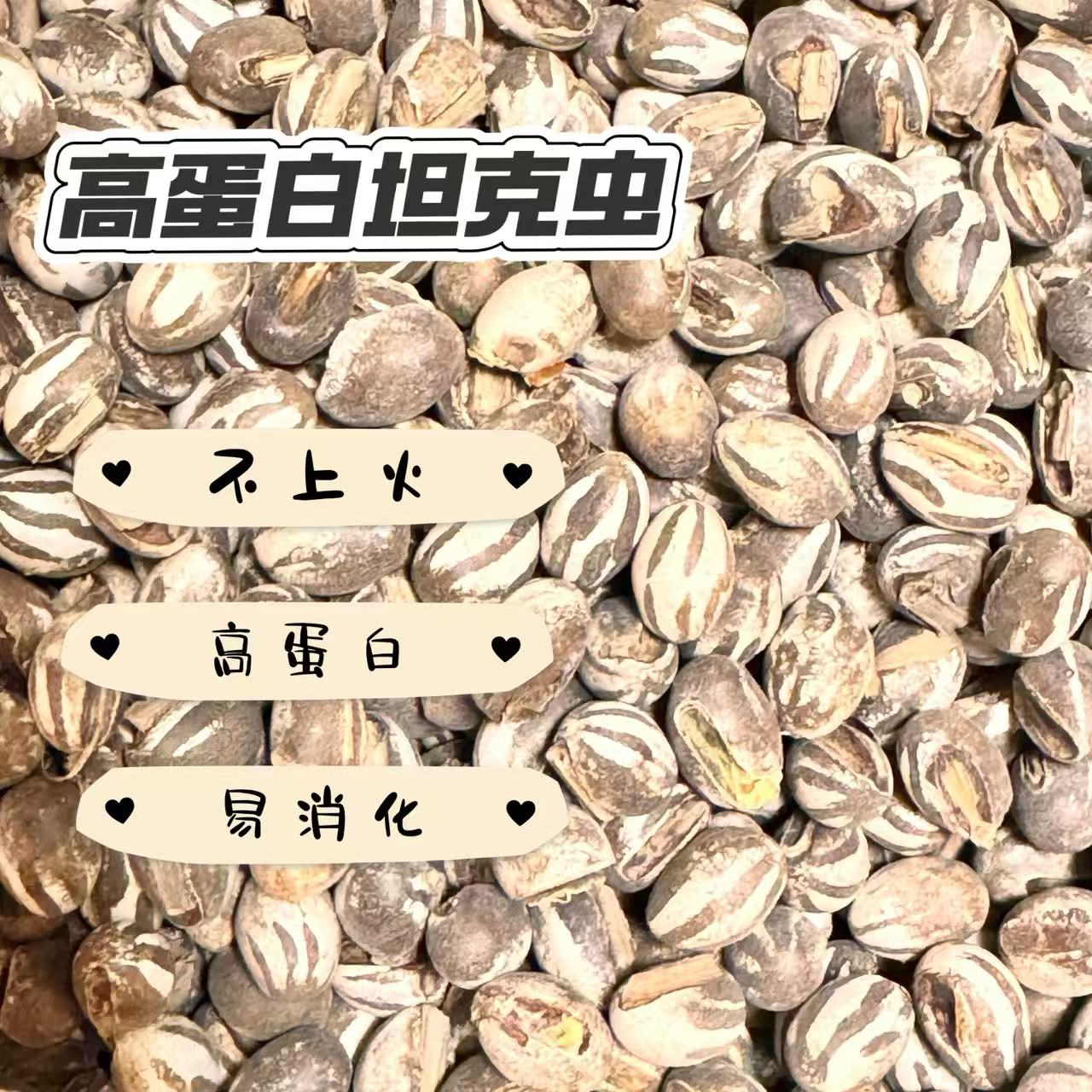 （坦克虫）杨拉罐金丝熊仓鼠花枝鼠长肉高蛋白零食