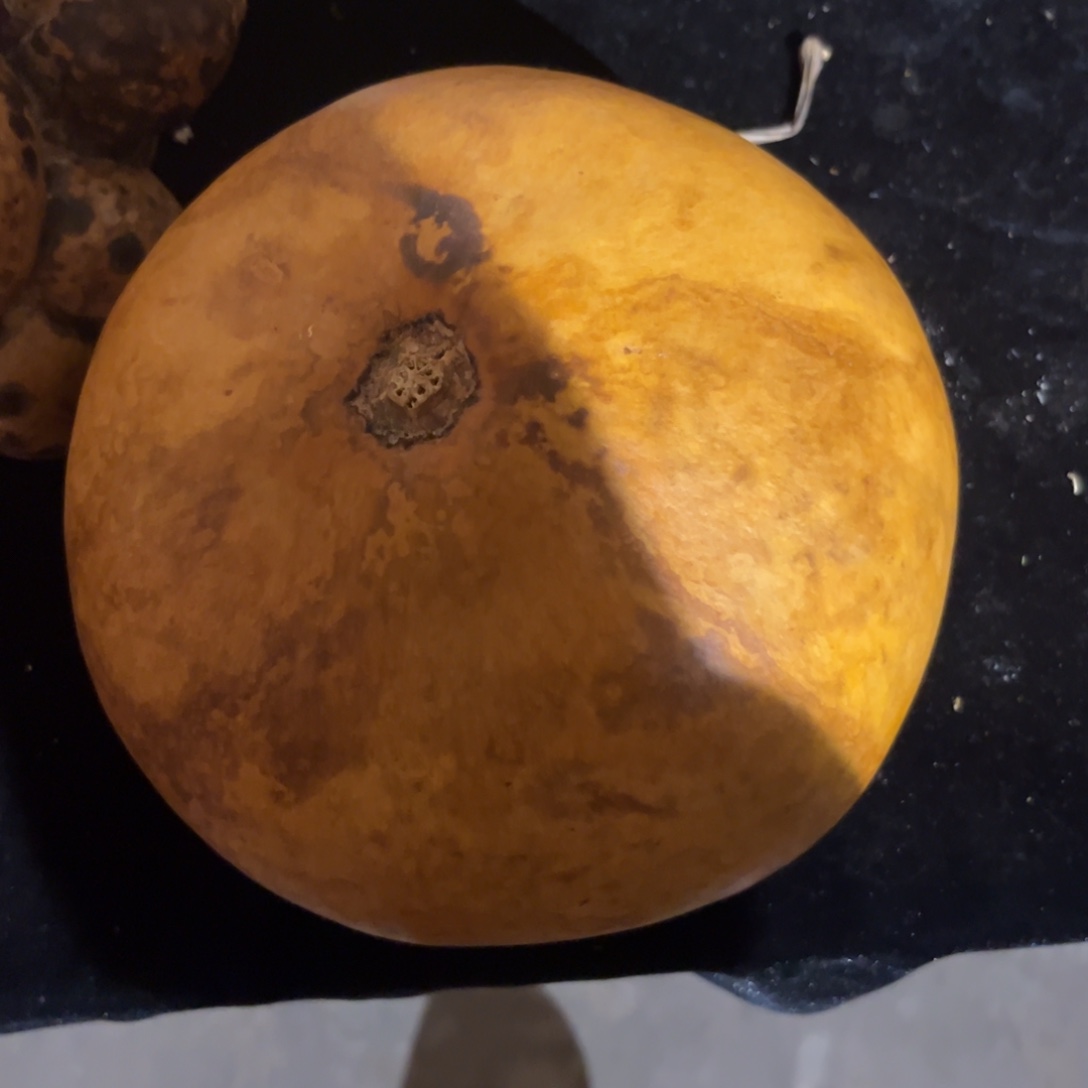 Z***R包无伤厚皮苹果花皮