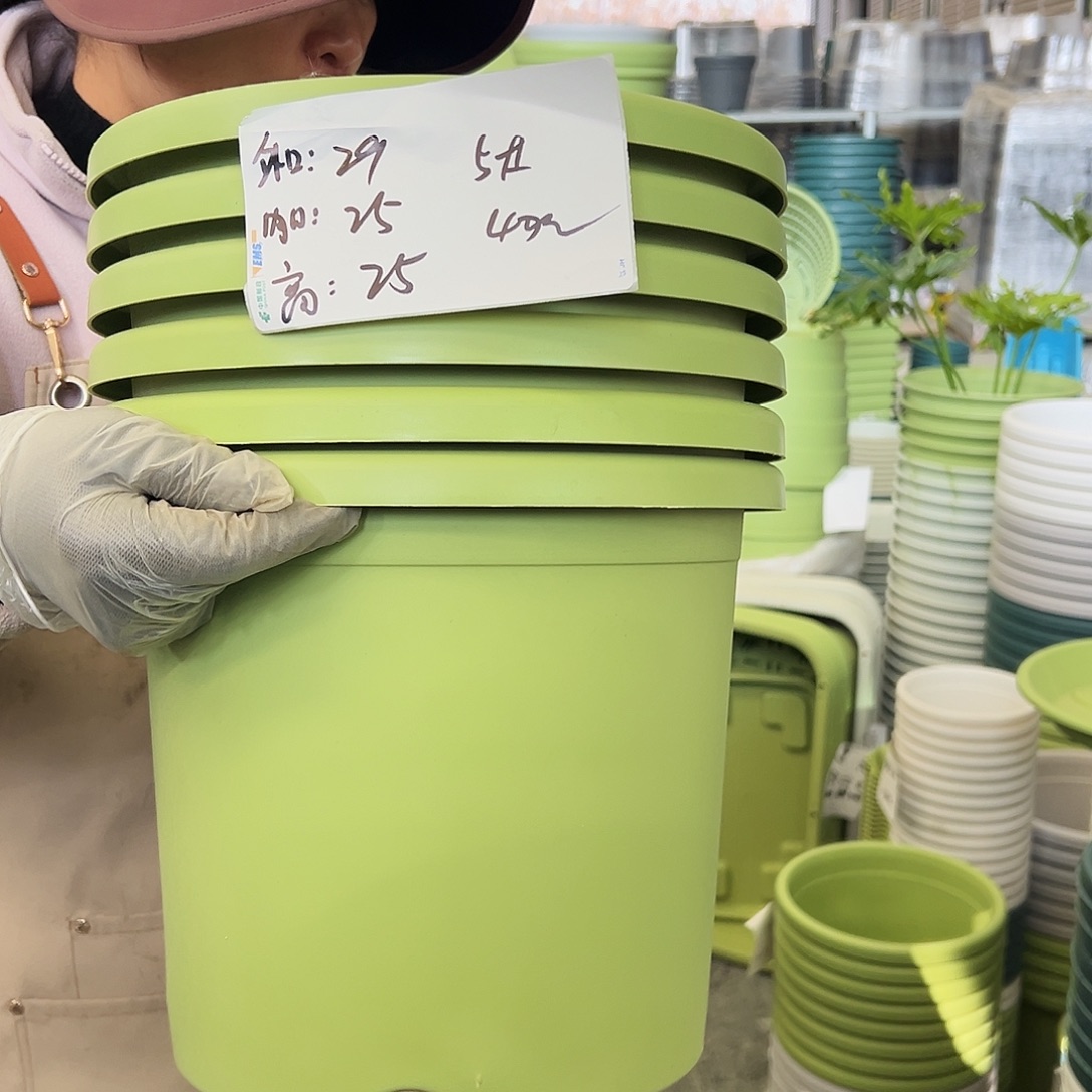 四季盆5#果绿色6个无托