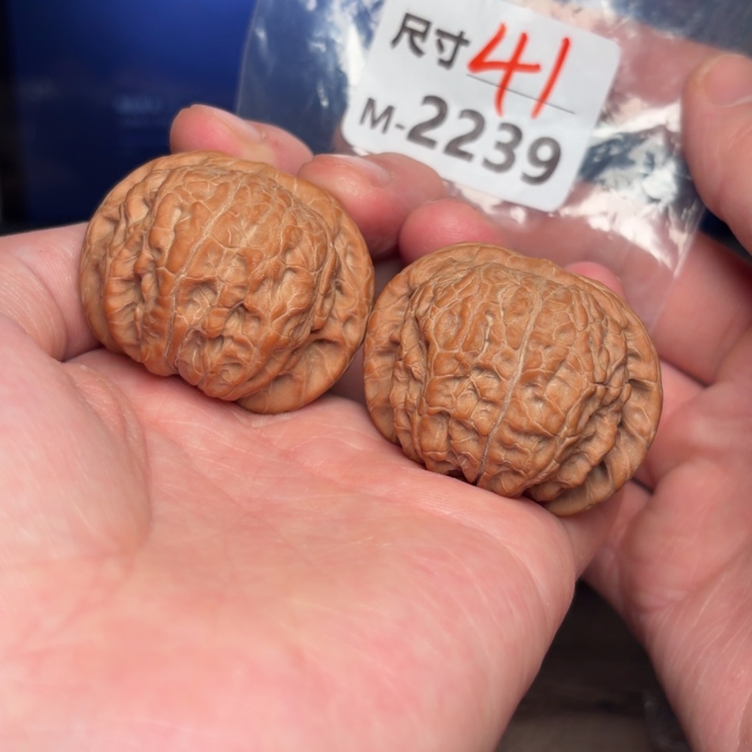 文玩核桃把件41血麒麟2239号