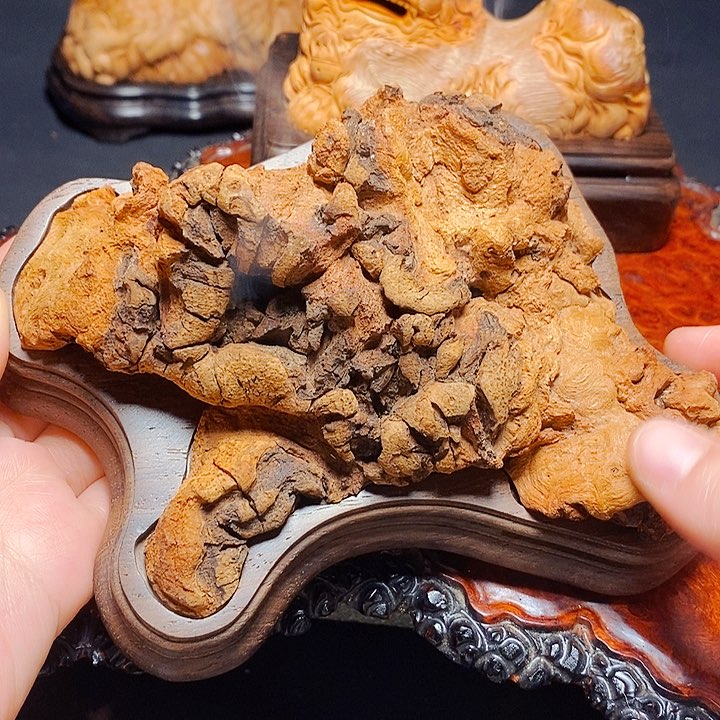 荔枝木荔枝木荔枝木