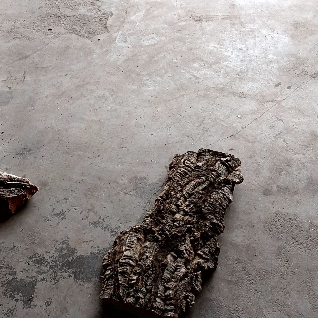 木一物一拍一物一发