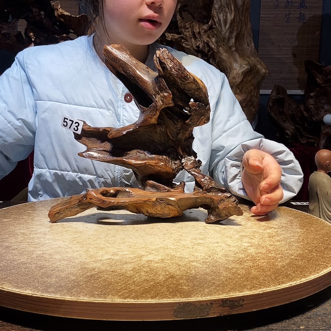 晨***晨573株木随行的小根艺