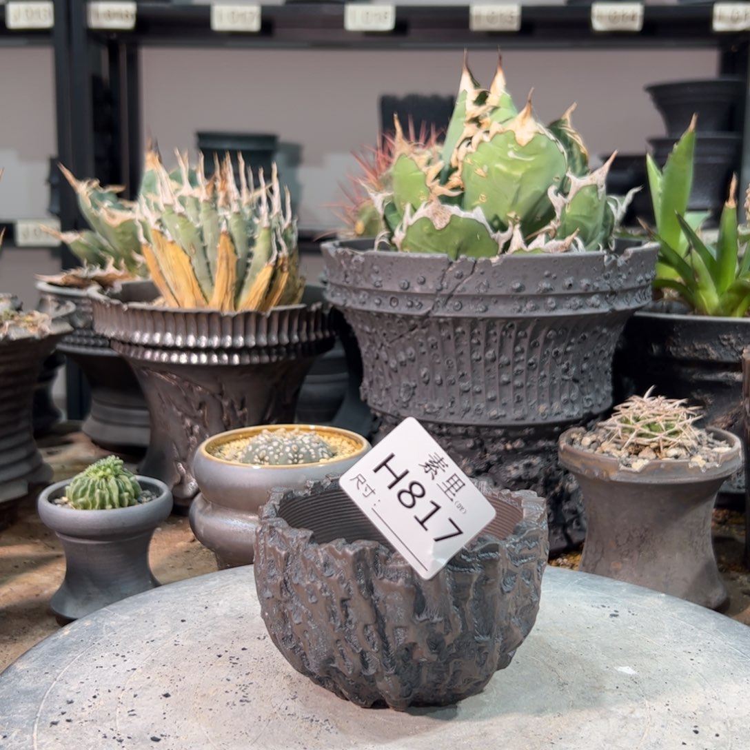 景德镇手工素里内口8.5高6.5