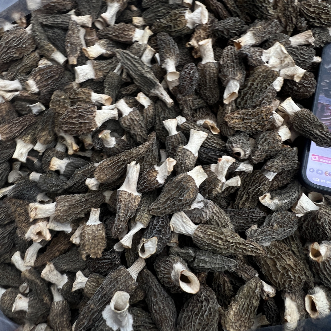 福利新烤七妹羊肚菌1224