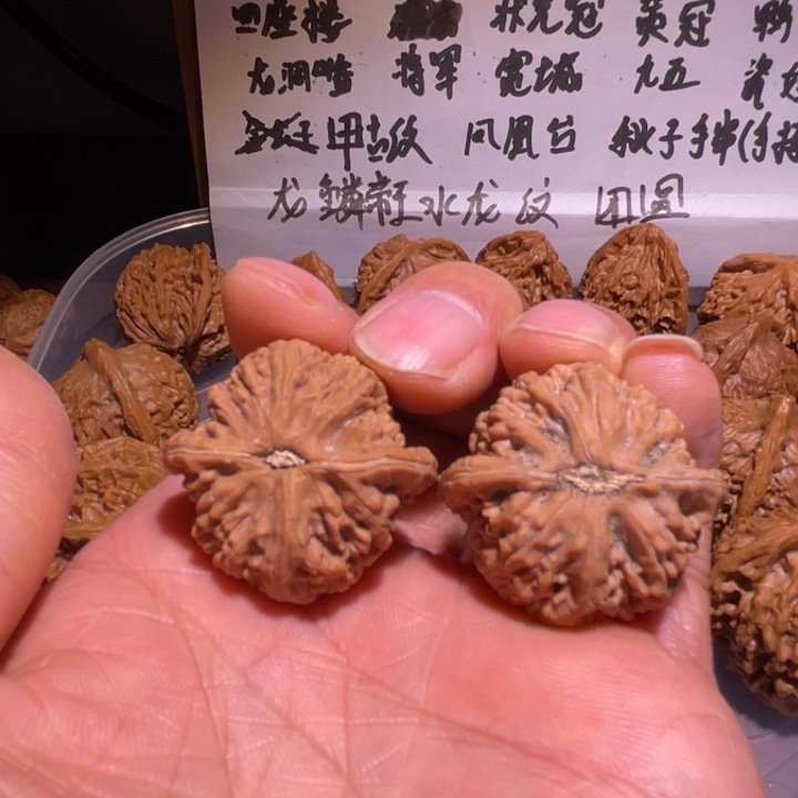 听***歌文玩核桃手串京东第一矮