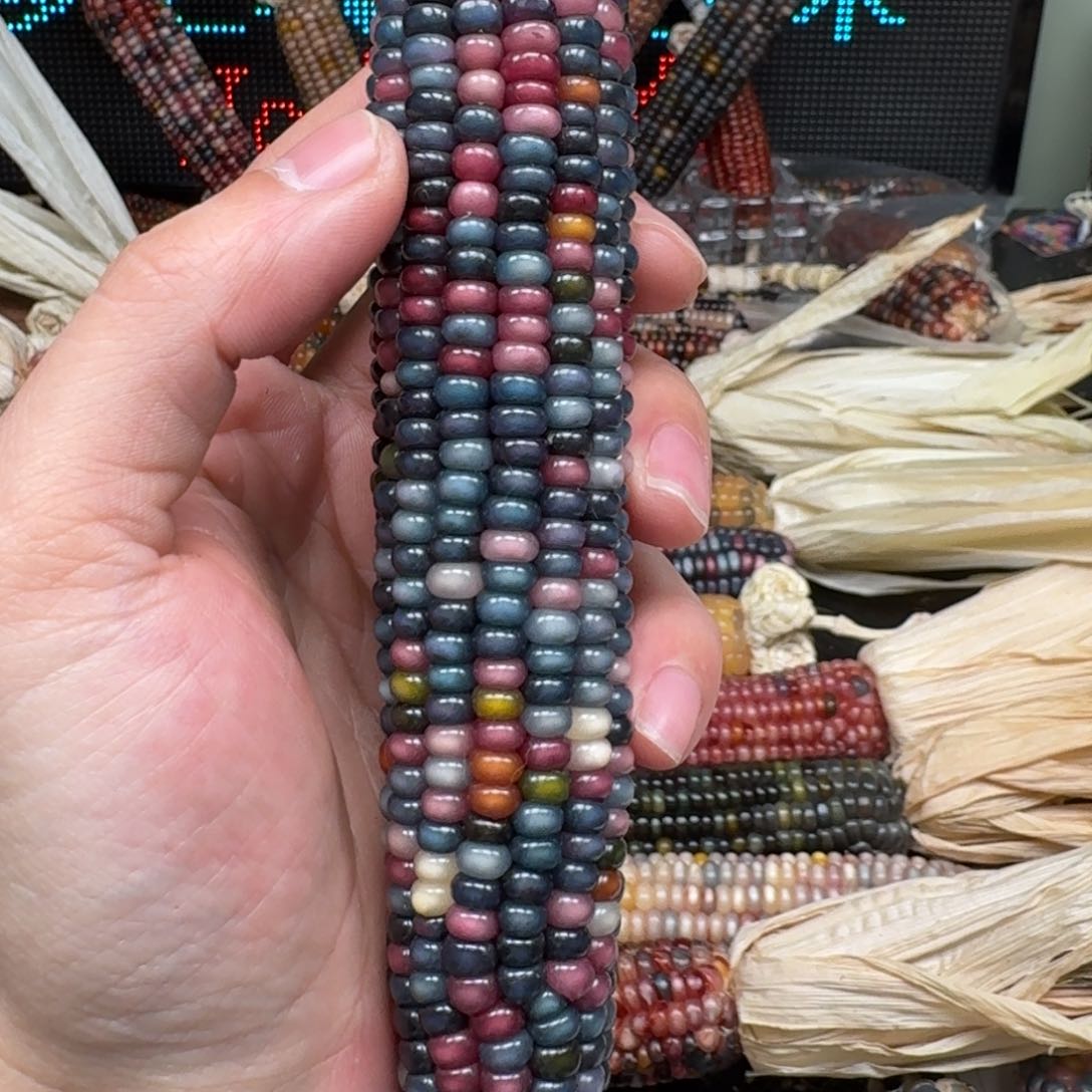 柏香籽/百香籽吊坠老**?