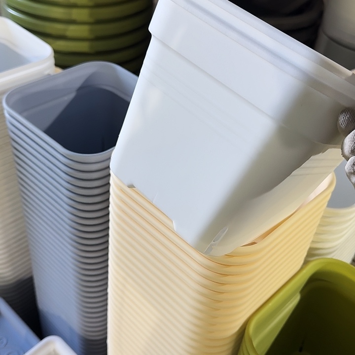 方21口径5个无托白色新款