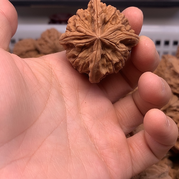 风***者文玩核桃吊坠文玩核桃