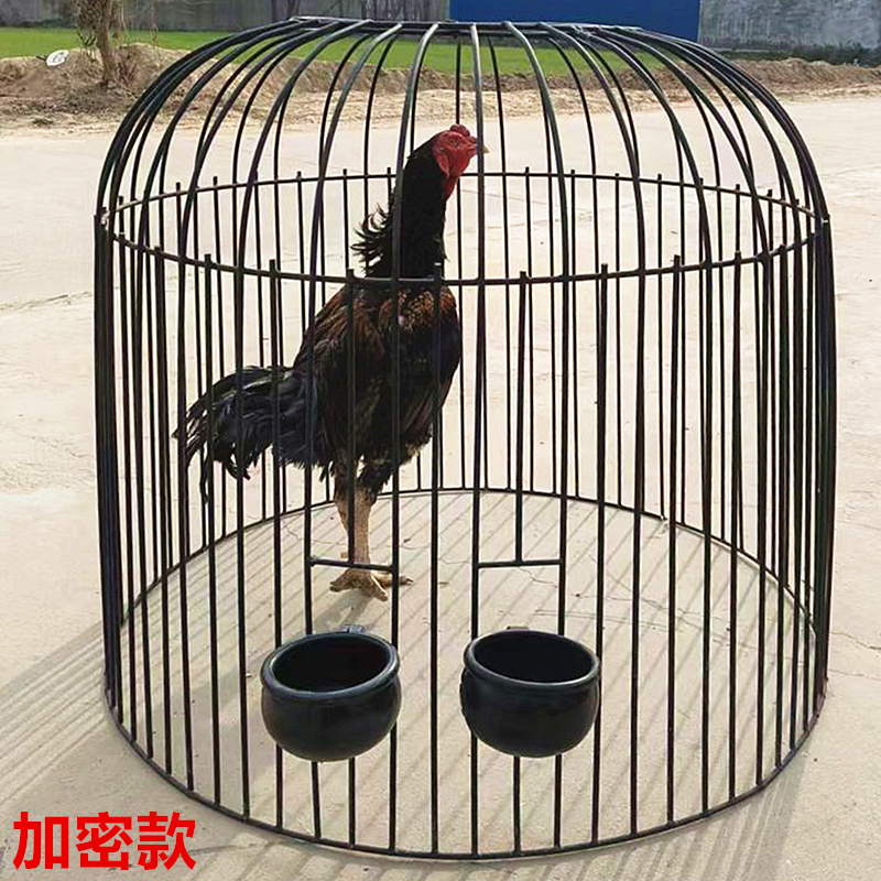加密加厚斗鸡笼子家用圆笼子折叠大号便宜斗鸡罩笼钢筋斗鸡罩笼