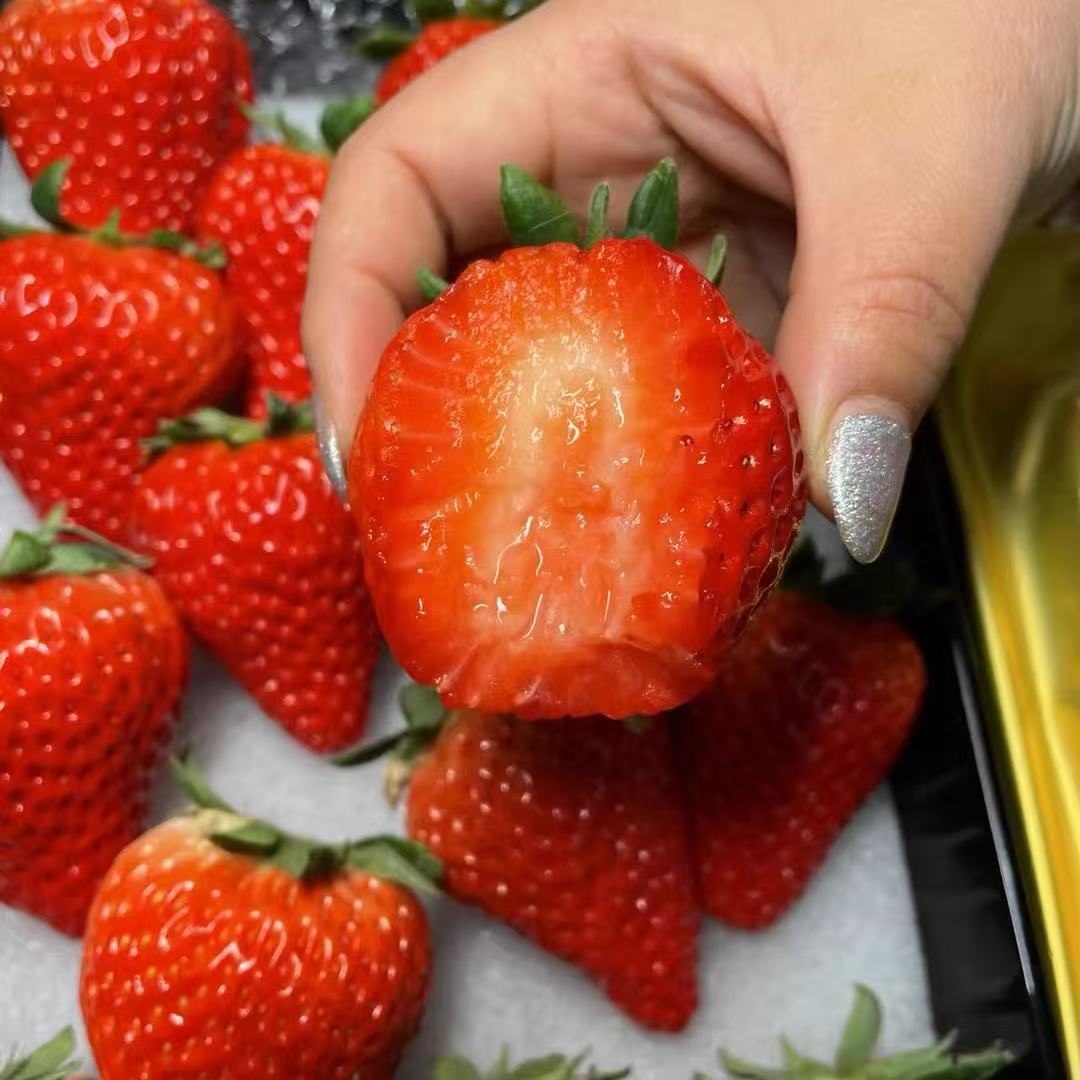 丹东草莓奶霸草莓奶香味十足鲜甜多汁99草莓