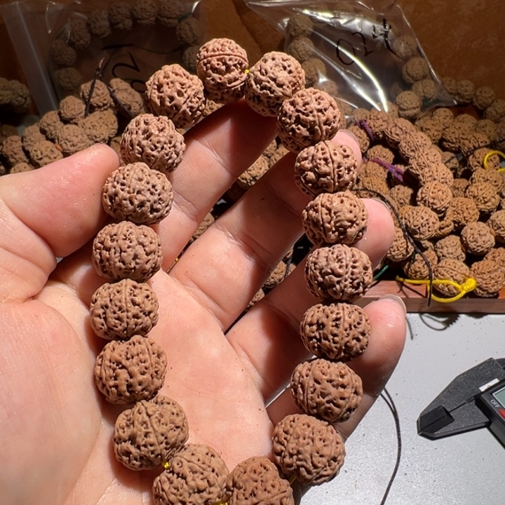 《***》吊坠金刚菩提31号金刚