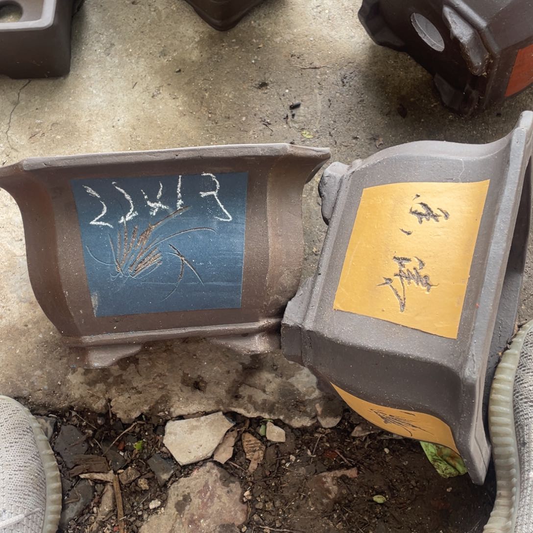 紫砂花盆花盆花盆