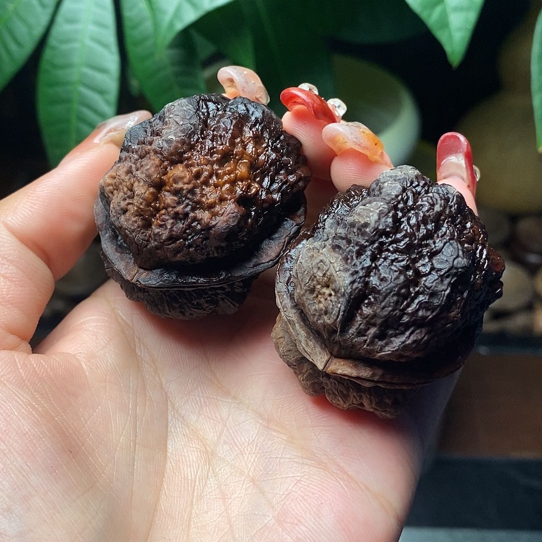 文玩核桃把件蹉**很古蟾王