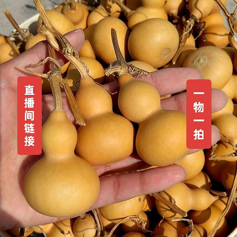 直播间链接，【天然葫芦摆件】一物一拍（私拍随机发）