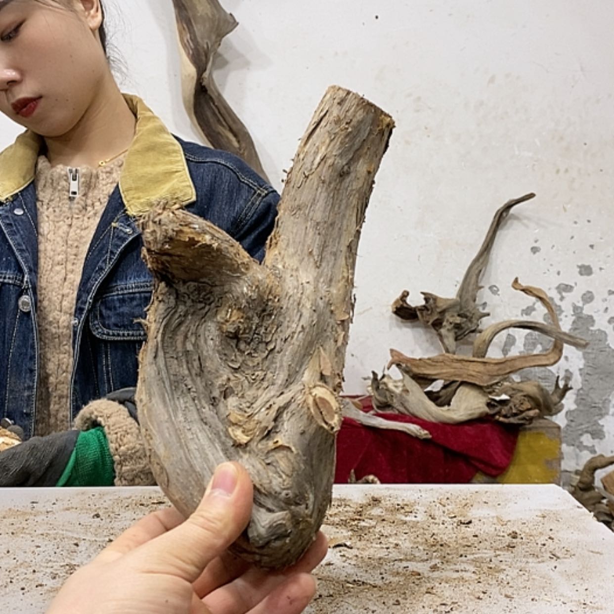【闪购商品】柏木安*吉我们都是好孩子