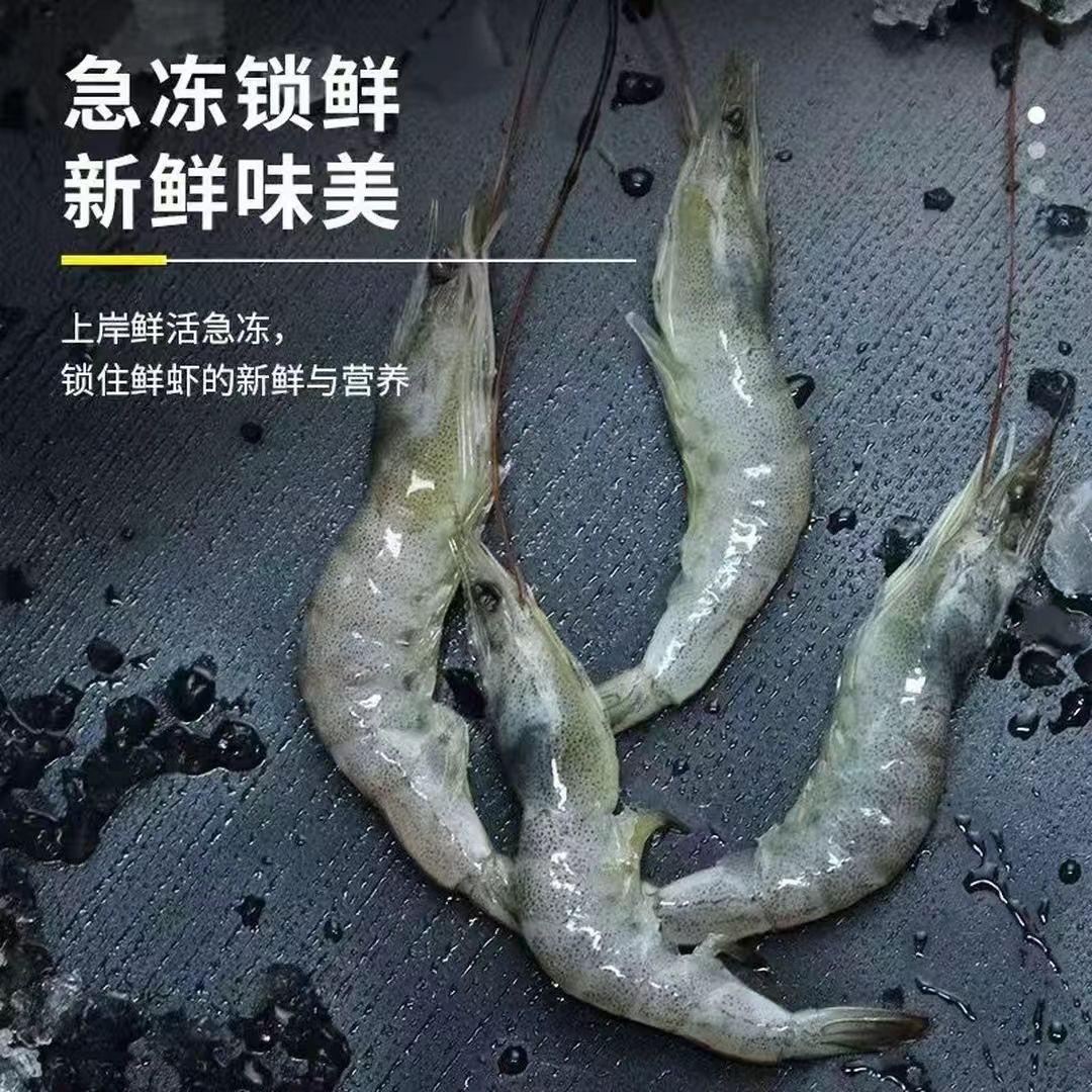 y2【5斤】海捕速冻小白虾 油炸虾 小 虾 闲小勿拍