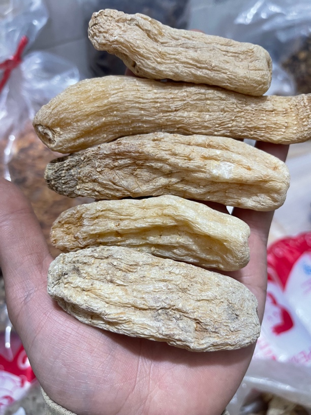 药材哥自卖精品云南邵通天麻个