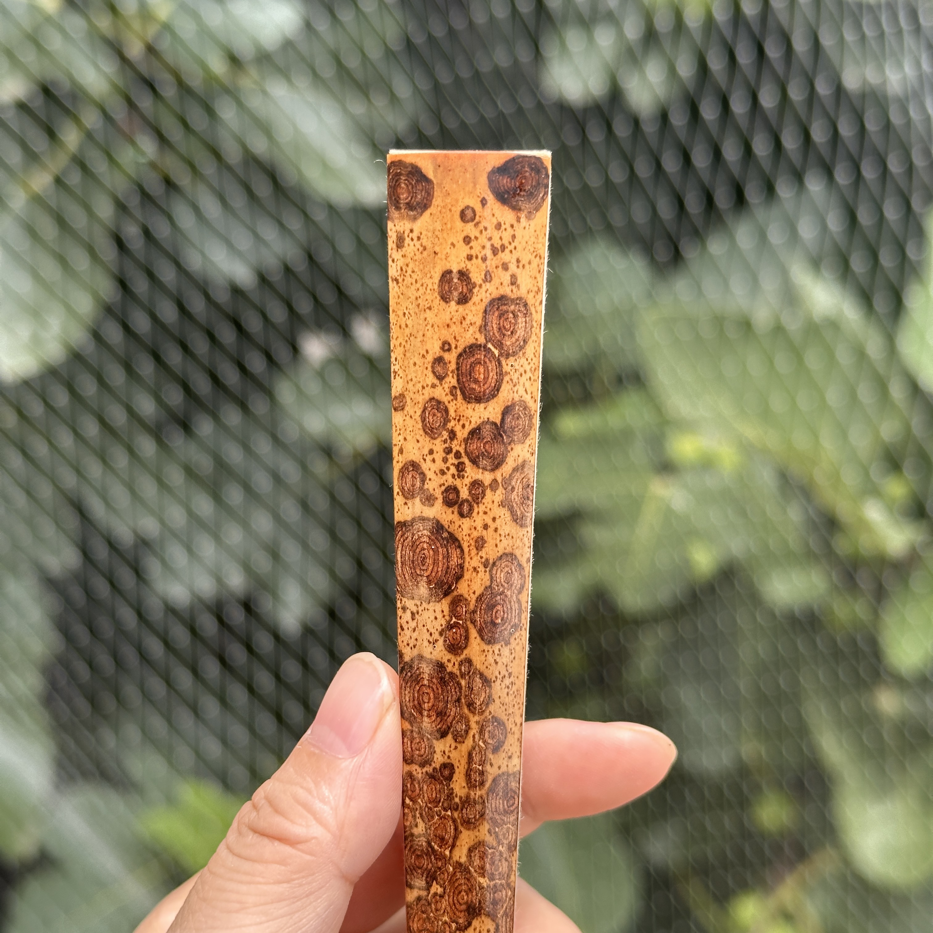杨记扇庄｜9.2寸16方2｜九嶷山老梅鹿竹折扇螺纹｜马牙庙门肩｜老苏工