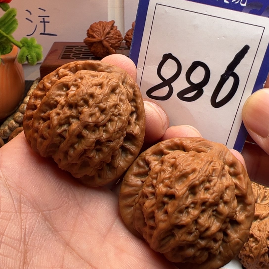 文玩核桃把件全品金公子43.5尺寸886号