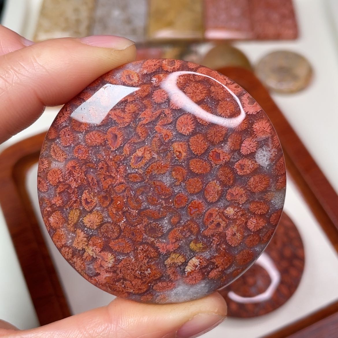 【闪购商品】未镶嵌吊坠(赠链)硅化玉豆**号