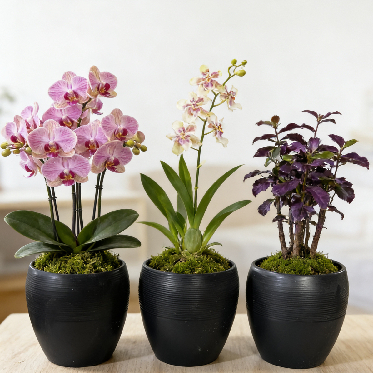 透气陶瓷多肉花盆大小口径复古清新北欧风中国风桌面花组合1909